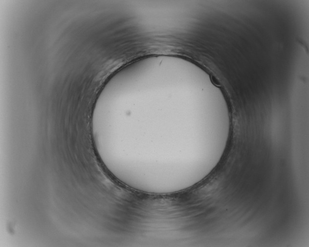 X0000103490433200809261954