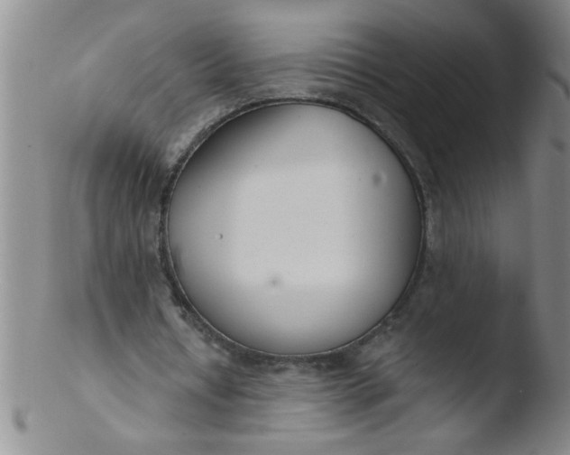 X0000103490434200809261954