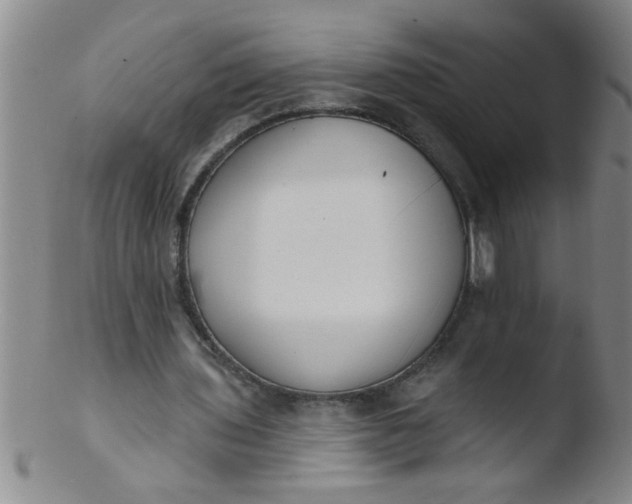 X0000103490435200809261954