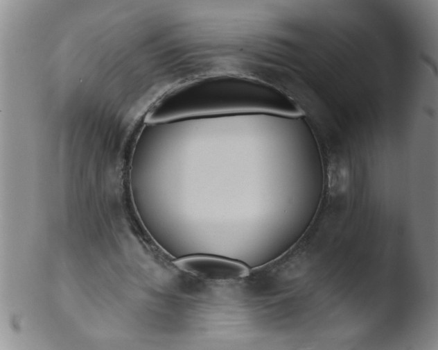 X0000103490436200809261954