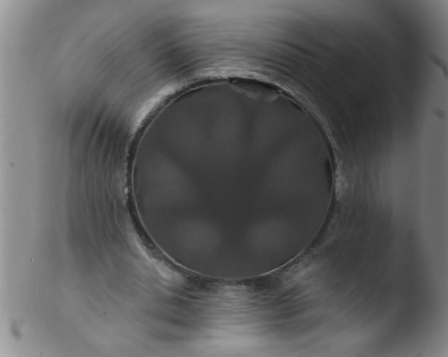 X0000103490438200809261954