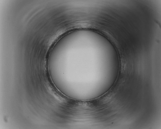 X0000103490439200809261954