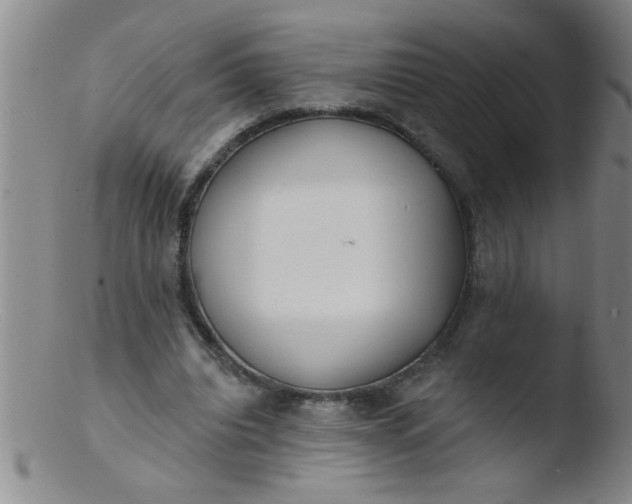 X0000103490440200809261954