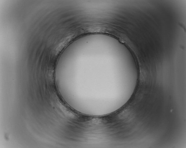 X0000103490441200809261954