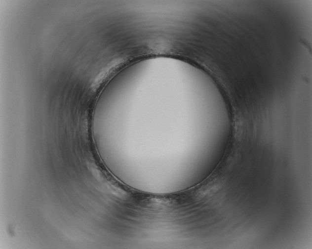 X0000103490442200809261954