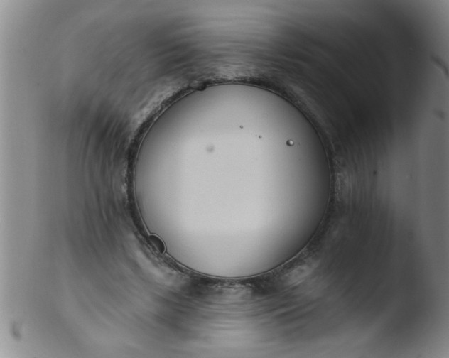 X0000103490443200809261954