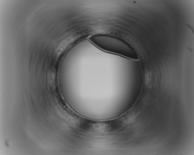 X0000103490444200809261954