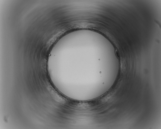 X0000103490445200809261954