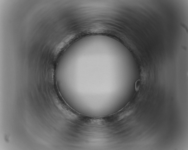 X0000103490446200809261954