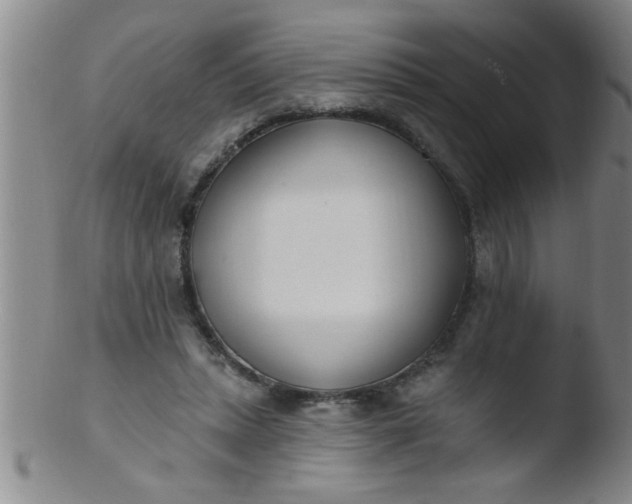 X0000103490447200809261954