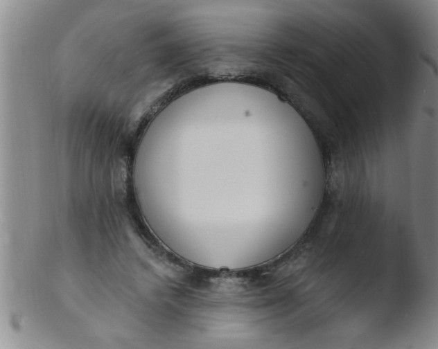 X0000103490448200809261954