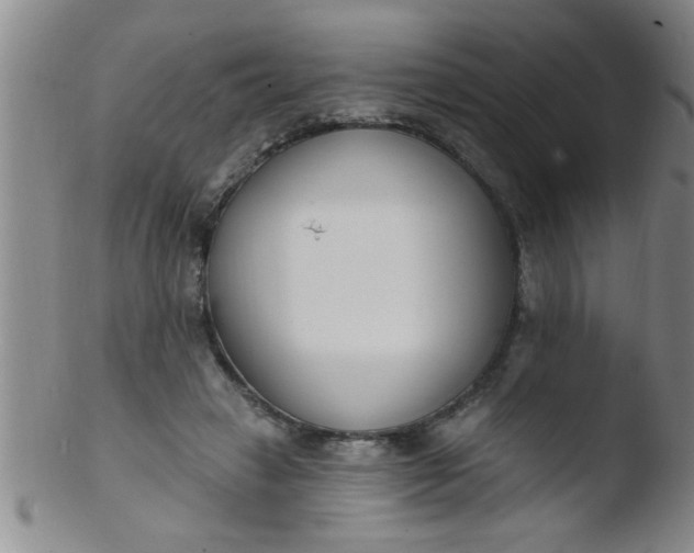 X0000103490449200809261954