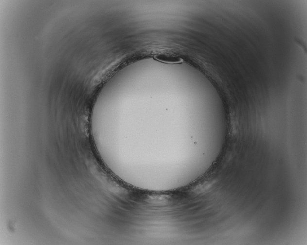 X0000103490450200809261954