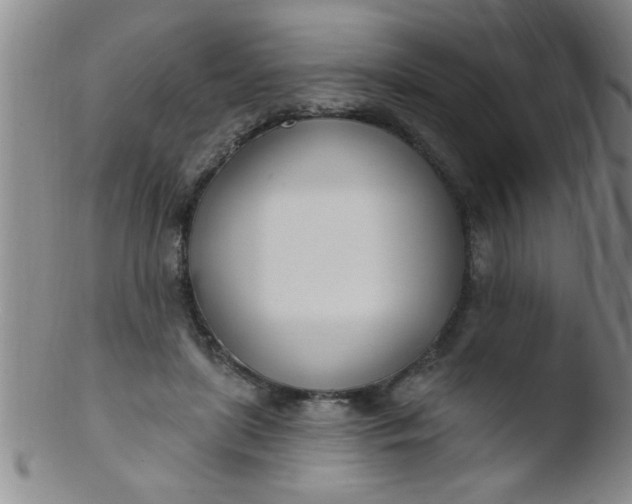 X0000103490451200809261954