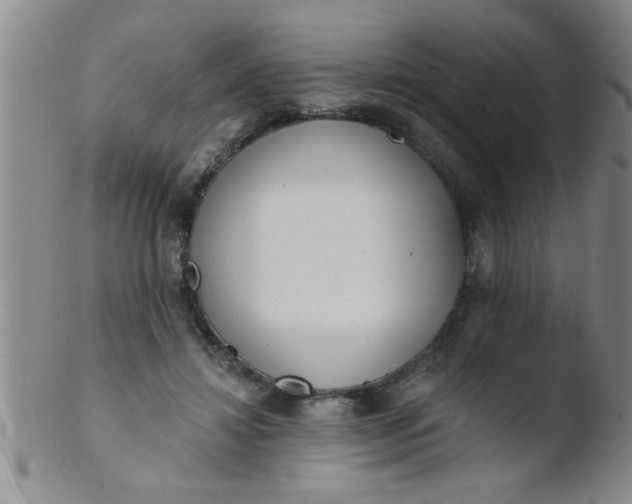 X0000103490452200809261954