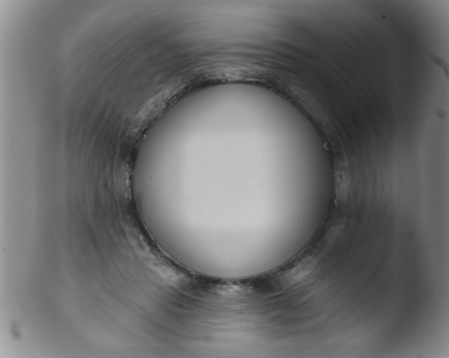 X0000103490453200809261954