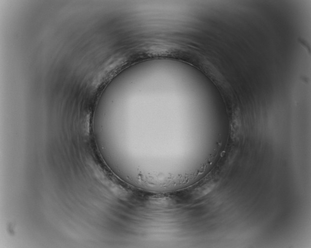 X0000103490454200809261954