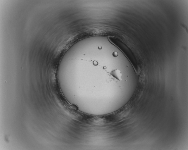 X0000103490456200809261954