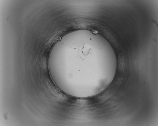 X0000103490457200809261954