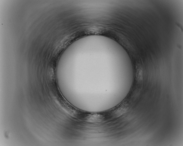 X0000103490459200809261954