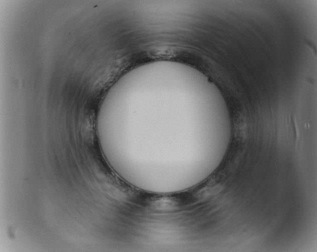 X0000103490460200809261954