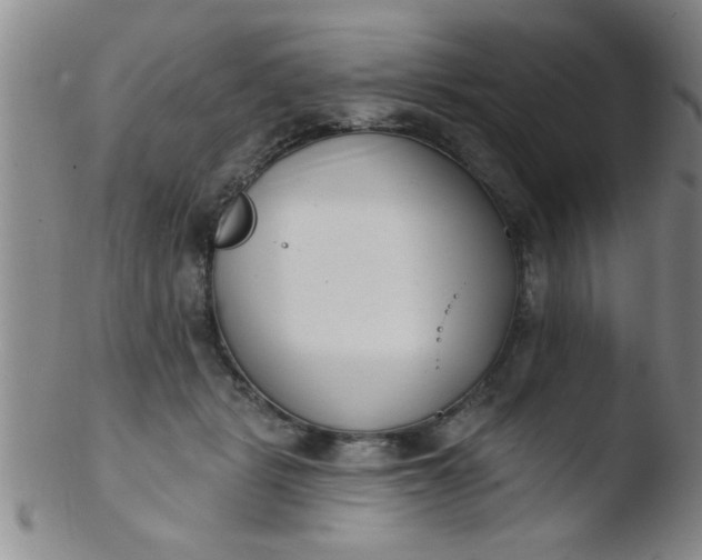 X0000103490461200809261954