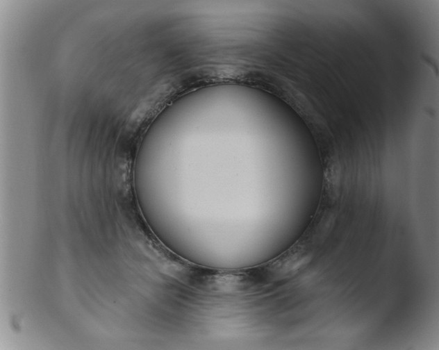 X0000103490462200809261954