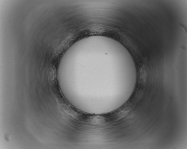 X0000103490463200809261954