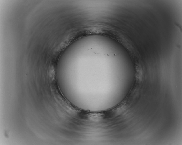 X0000103490465200809261954