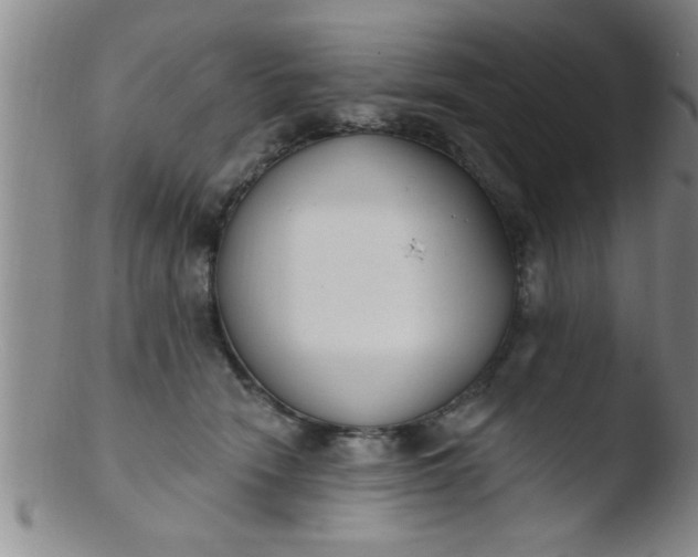 X0000103490466200809261954