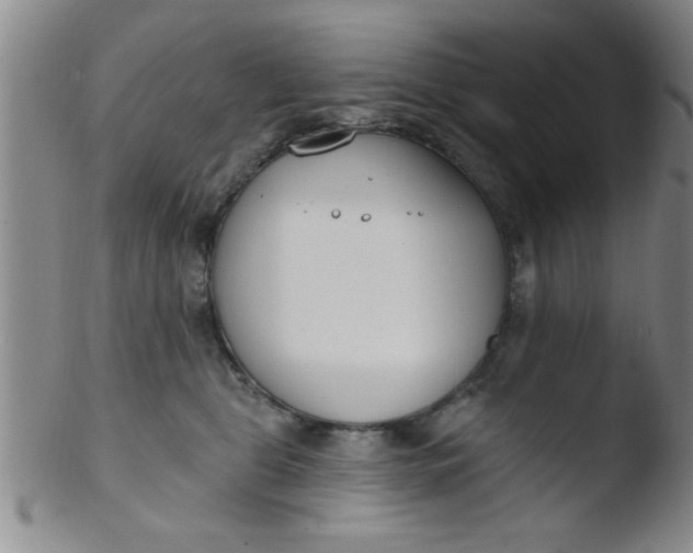 X0000103490469200809261954