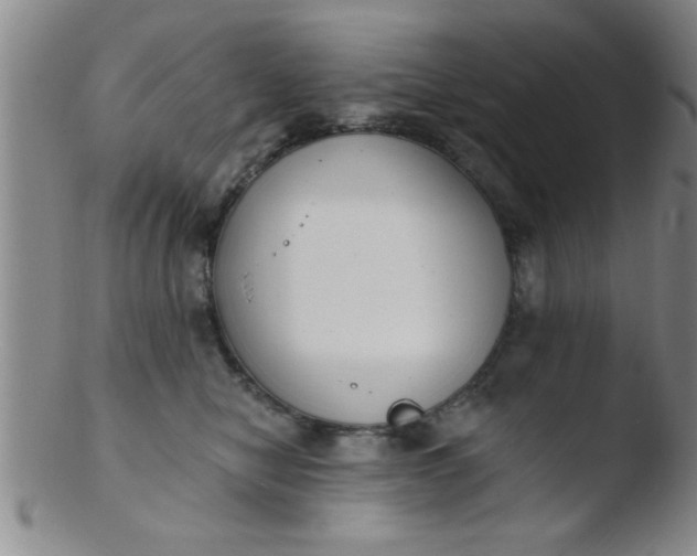 X0000103490470200809261954