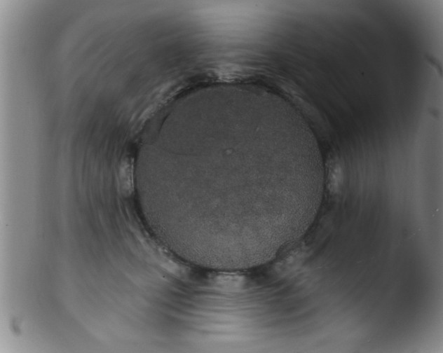 X0000103490471200809261954