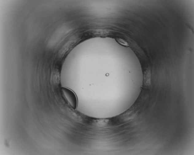 X0000103490474200809261954