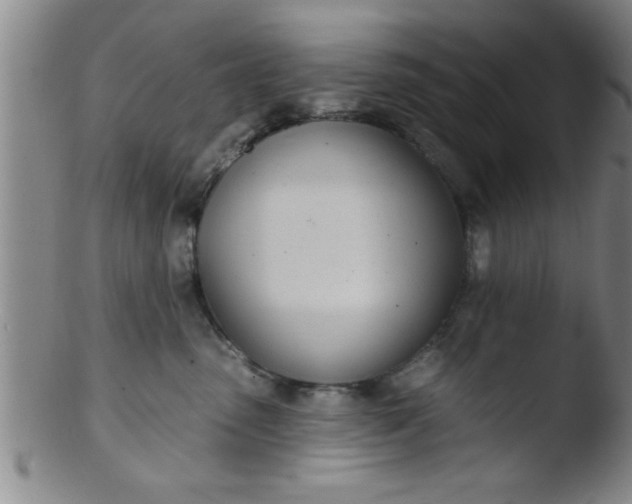 X0000103490475200809261954