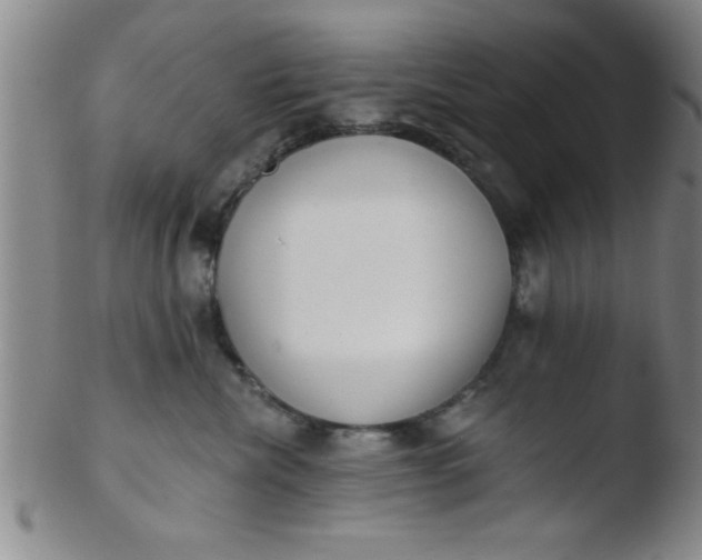 X0000103490476200809261954