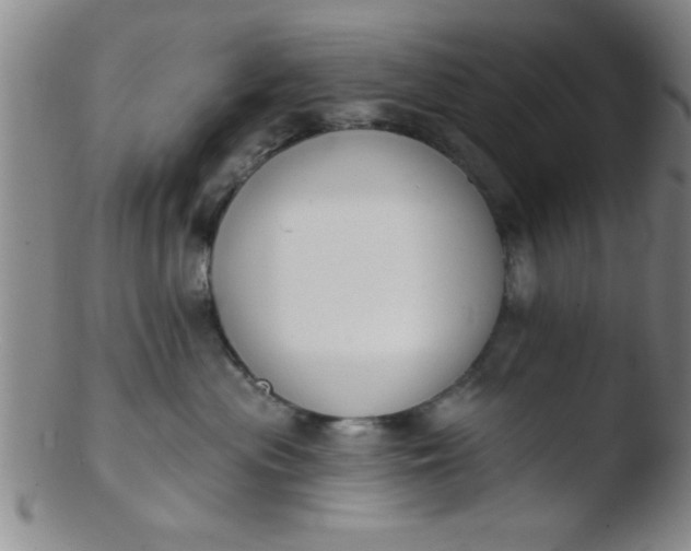 X0000103490477200809261954