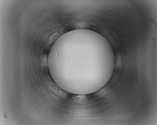 X0000103490478200809261954