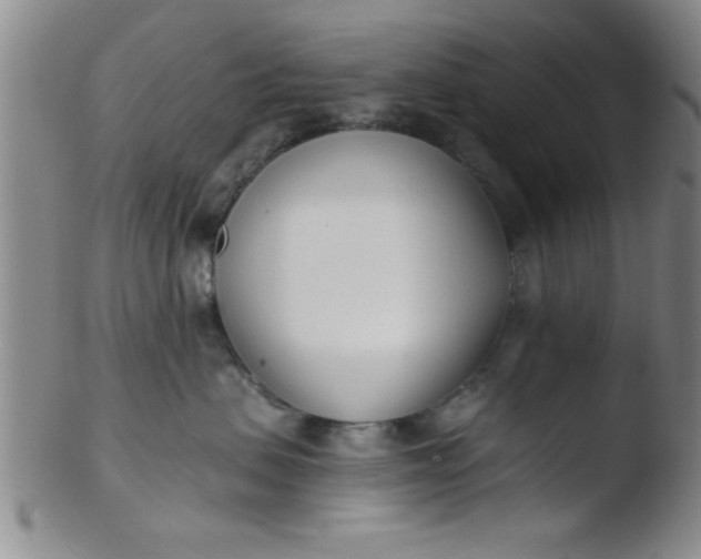 X0000103490479200809261954