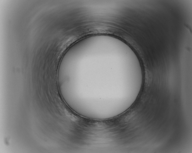 X0000103490481200809261954