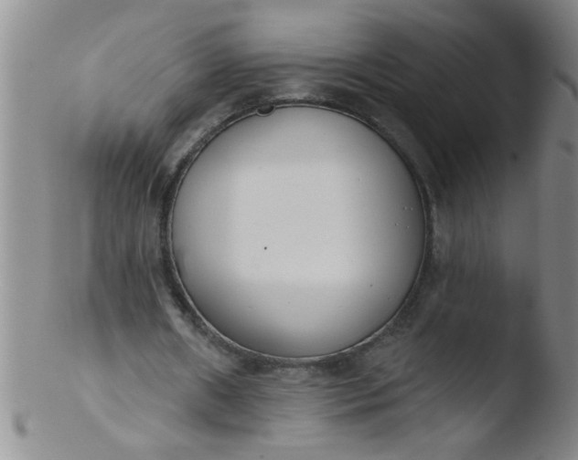 X0000103490482200809261954