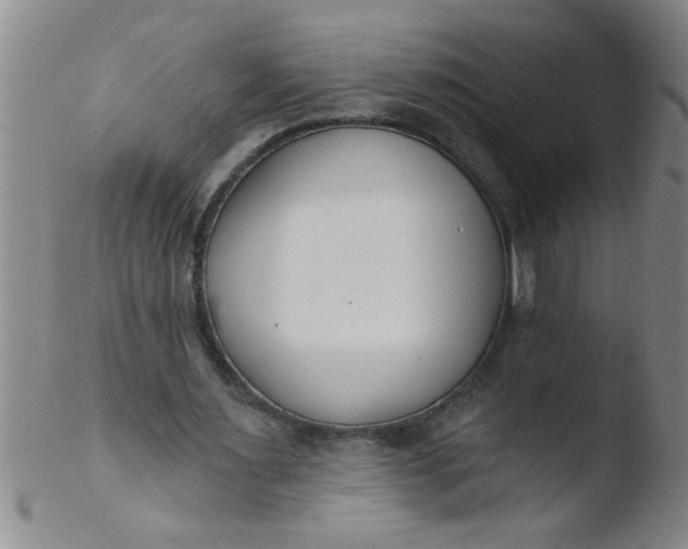 X0000103490483200809261954