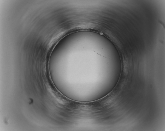 X0000103490486200809261954