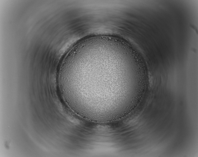 X0000103490487200809261954