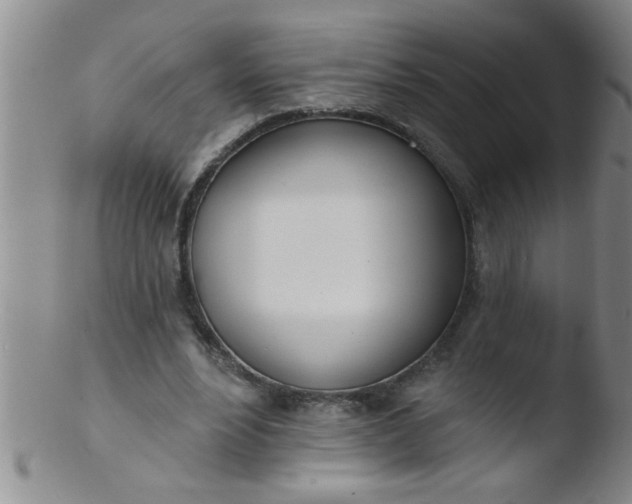 X0000103490488200809261954