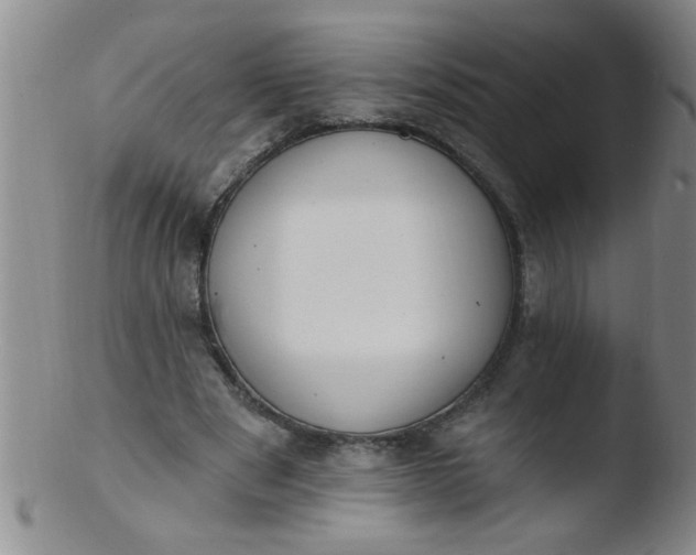 X0000103490489200809261954