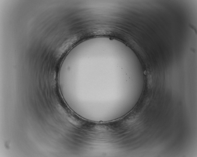 X0000103490490200809261954