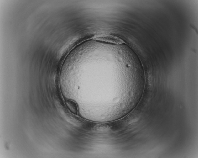 X0000103490491200809261954