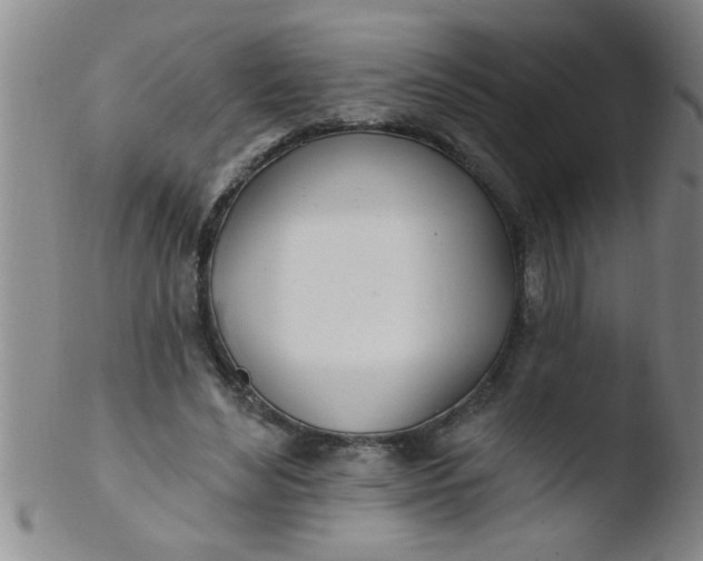 X0000103490492200809261954