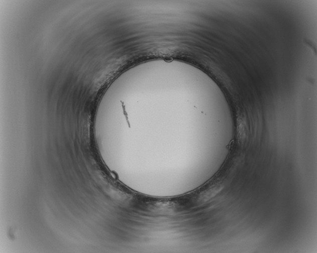 X0000103490493200809261954